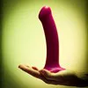 MAGNUM - Rose 4